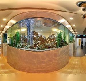 Dental Lounge Dentist in Sydney