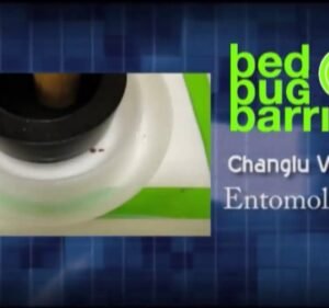 Bed Bug Barrier Pty Ltd Pest control service in St Kilda