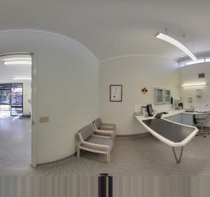 Veterinary Clinics in Melbourne Australia Whitehorse Veterinary Hospital
