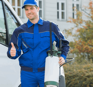 Pest Control Services in Victoria Australia Pest Control Melbourne - Ant