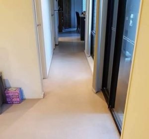 VIC Cleaning Cleaning service in St Albans