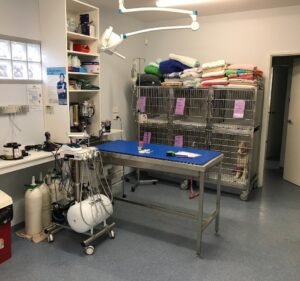 Veterinary Clinics in Victoria Australia Strathmore Veterinary Clinic