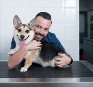 Hampton Veterinary Clinic Pet care service in Hampton