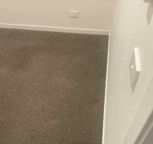 Mr Bee Cleaning Cleaning service in Sunshine North