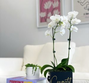 Florists in Melbourne Australia FlowerBox Melbourne