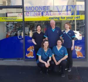 Moonee Central Vet Pet care service in Moonee Ponds