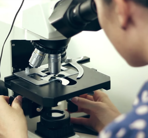 Busby Naturopathics Health & Medical in Greenslopes