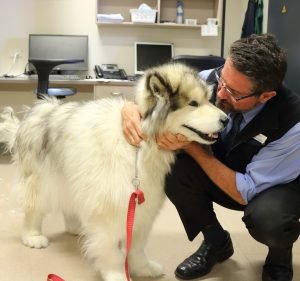  Port Adelaide Veterinary Clinic & Cattery