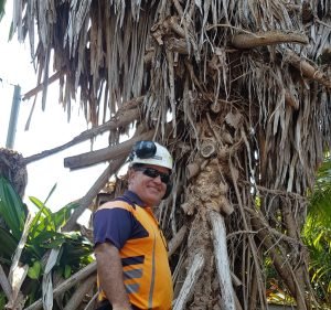  All About Garden Care Darwin