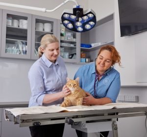  Paws at Prospect Vet