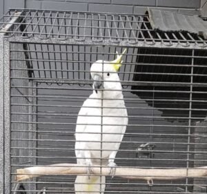 Car Nation Auto's Car dealer in Maidstone