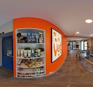 Canterbury Veterinary Clinic & Hospital Pet care service in Surrey Hills