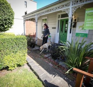 Hawthorn East Vet Pet care service in Hawthorn East