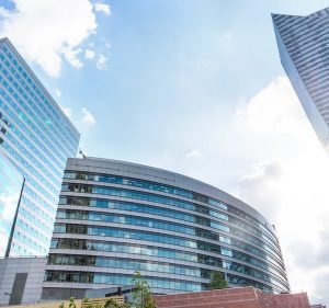  Dr Seleo Cleaning Services