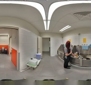 The Pets Hotel Pet care service in Port Melbourne