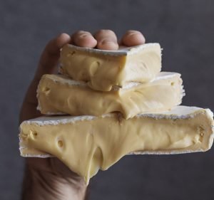 Williams and Company Marketing Marketing agency in Adelaide