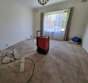 Carpet Cleaning Services in Victoria Australia Jena's Carpet Cleaning