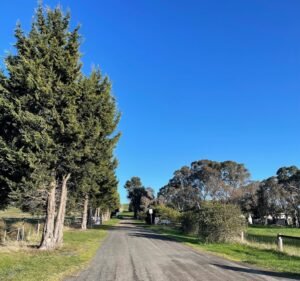 Agriculture in Melbourne Australia Melbourne Polytechnic Yan Yean Farm
