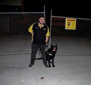 MSE Security Brisbane Safety Services & Supplies in Cleveland