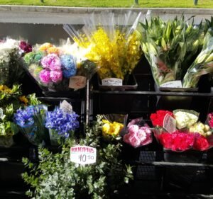 Florists in Melbourne Australia Blooms and Botanicals