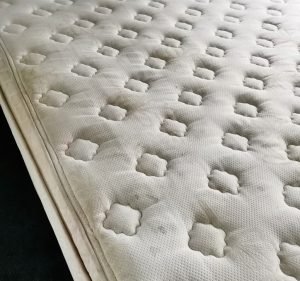 Carpet Cleaning Services in Victoria Australia Elite Carpet Care