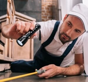 Relief Natural Pest Control Seville Pest control service in Seville