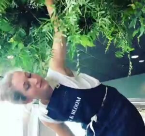 Fig & Bloom Florist in Fairfield