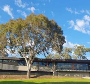 Veterinary Clinics in Melbourne Australia Advanced Vetcare Kew