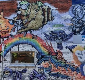 Veterinary Clinics in Victoria Australia Seddon Vet Hospital