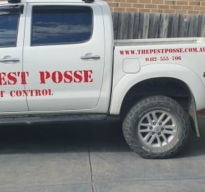 The Pest Posse - Pest Control Pest control service in Berwick