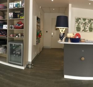 Veterinary Clinics in Melbourne Australia Village Vet -Toorak