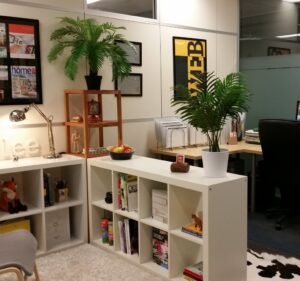 Web Design Services in Victoria Australia Fox & Lee - Custom Web Design Melbourne