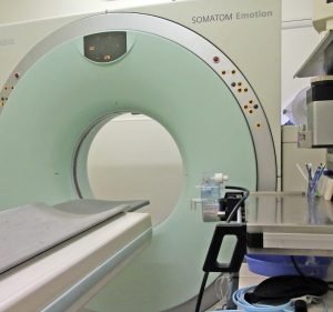 Veterinary Clinics in Melbourne Australia Camberwell Veterinary Clinic