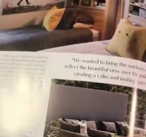 Ivy + Finch Interior designer in Woolloongabba