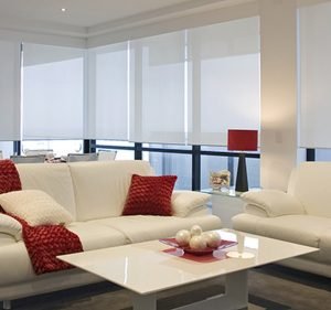 Cairns Floors and More Flooring store in Bungalow