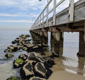 StayCentral - Spacious Seaviews (Port Melbourne) Hotel in Port Melbourne