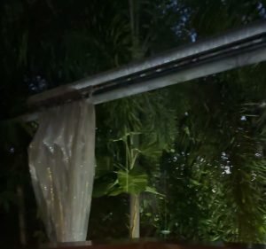 Nautilus Restaurant Food & Beverages in Port Douglas