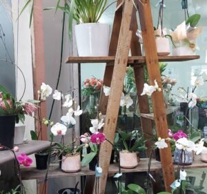 Stems Flower Market Florist in Ballarat Central
