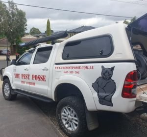 Pest Control Services in Victoria Australia The Pest Posse - Pest Control