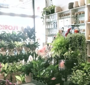 Ascot Vale Florist Florist in Ascot Vale