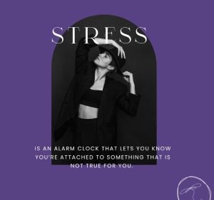 Discover the Power of Touch Wellness Clinic Health & Medical in Rockhampton City