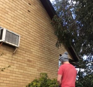 Tom Burton Rubbish Removal Garbage collection service in Newport