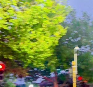 Werribee Station Place Florist Florist in Werribee