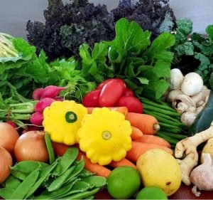  Carine Pieterse Natural Health | Naturopath Brisbane Bayside