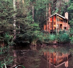 Hotels and Accommodations in Victoria Australia Woodlands Rainforest Retreat