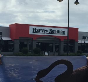 Harvey Norman Bundall