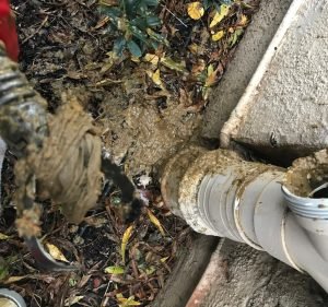 Blocked Drain Plumbers Plumber in Glen Iris