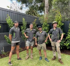 Landscaping Services in Victoria Australia All Aspects Landscaping Melbourne