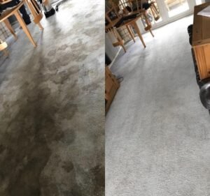 Carpet Cleaning Werribee Cleaning service in Werribee