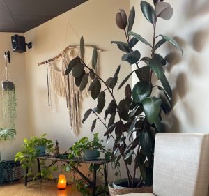 La Yoga Health & Medical in Oak Park